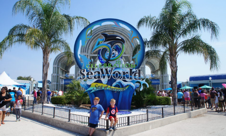 SeaWorld San Antonio - San Antonio Young Professionals